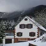 Des Abeilles Du Kohlberg Wangenbourg-Engenthal