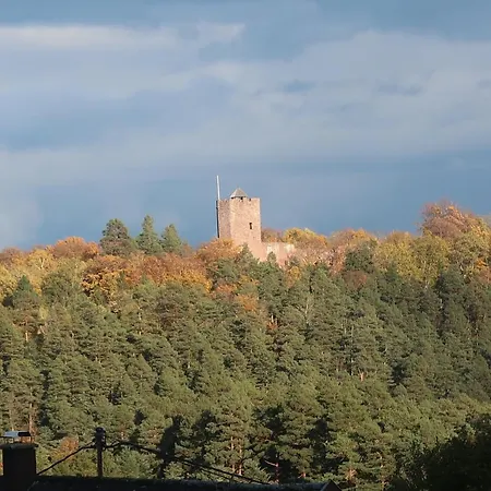 Des Abeilles Du Kohlberg Wangenbourg-Engenthal