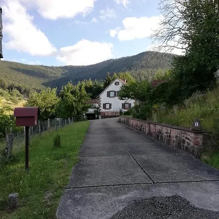 Des Abeilles Du Kohlberg Apartment *