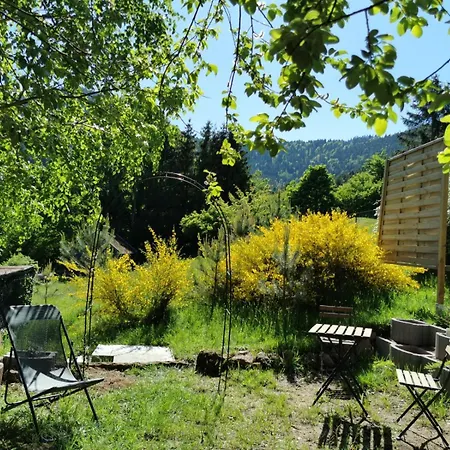 Des Abeilles Du Kohlberg