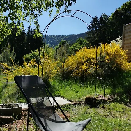 Des Abeilles Du Kohlberg * Wangenbourg-Engenthal